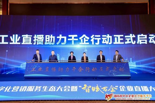 湖南省數(shù)字化營銷服務(wù)生態(tài)大會成功舉辦，賦能制造業(yè)數(shù)字化轉(zhuǎn)型